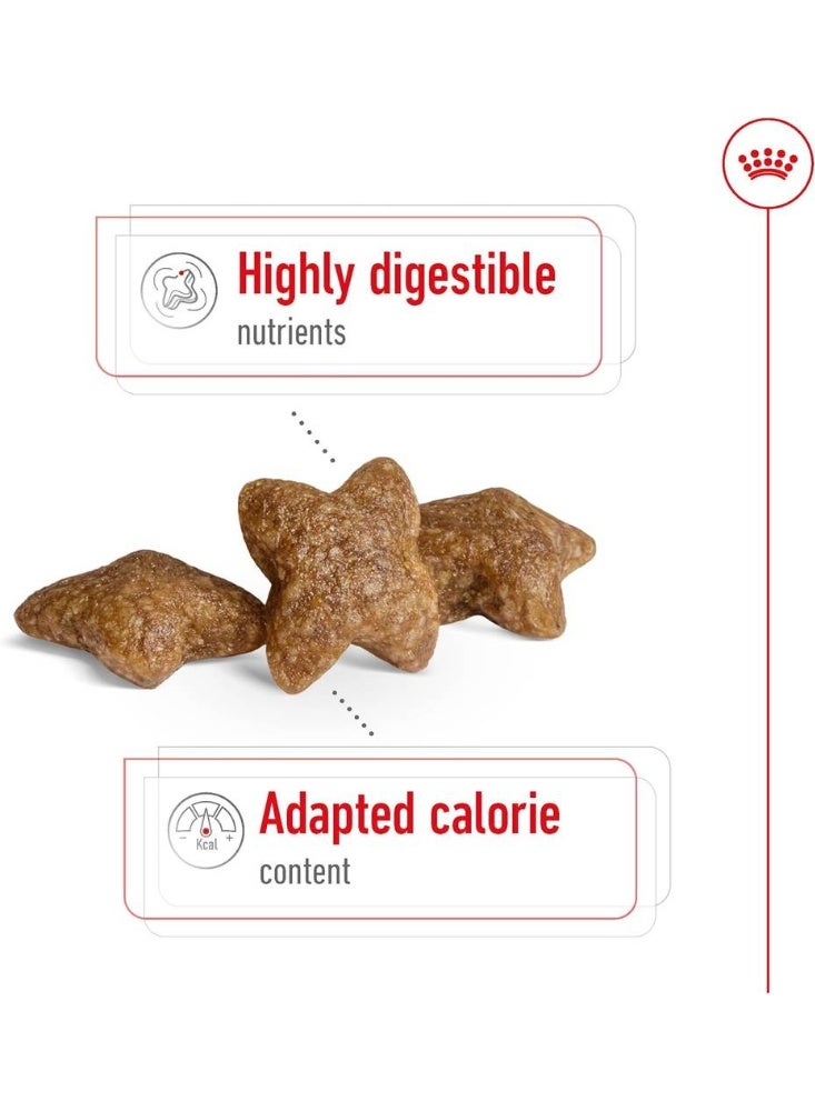 Royal Canin Mini Adult Dry Food for Small Adult Dogs 4kg - Image 2